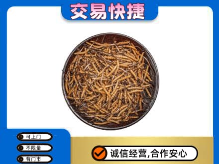 琼结县回收散虫草